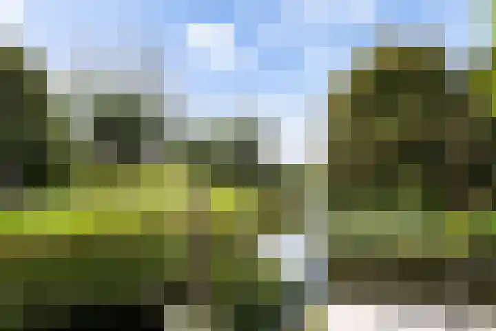 Willeskop 73 A Montfoort thumbnail 52