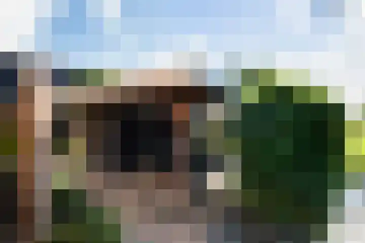 Willeskop 73 A Montfoort thumbnail 6