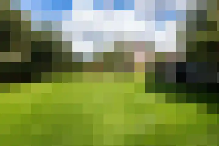 Willeskop 73 A Montfoort thumbnail 9