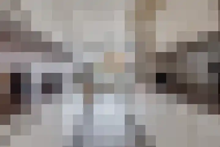 Willeskopstraat 63 Amsterdam thumbnail 9