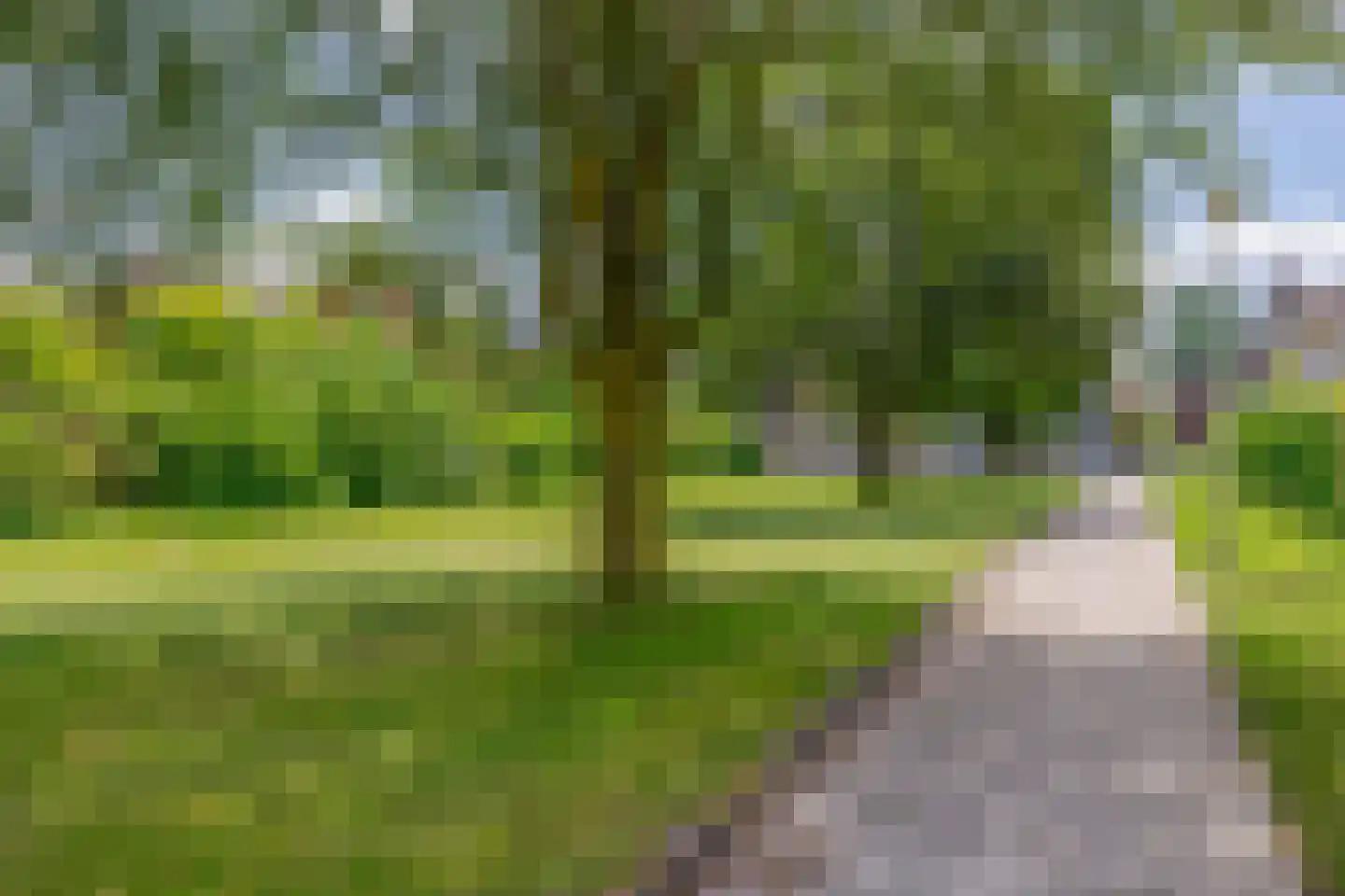 Willi Martinalistraat 20 Deurne thumbnail 59