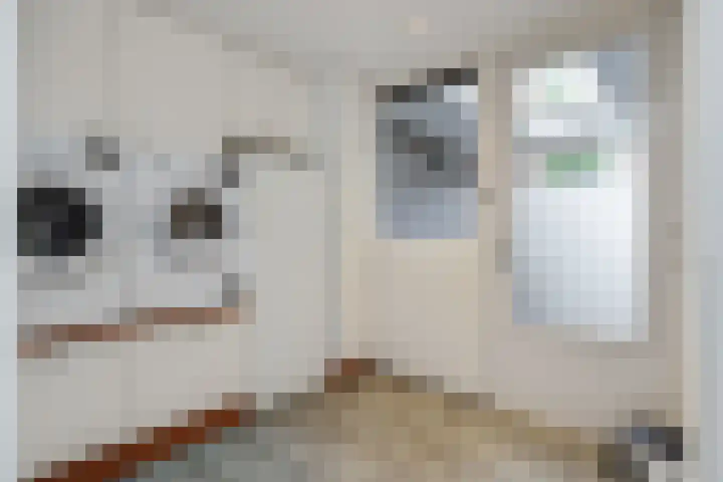 Willi Martinalistraat 48 Deurne thumbnail 16