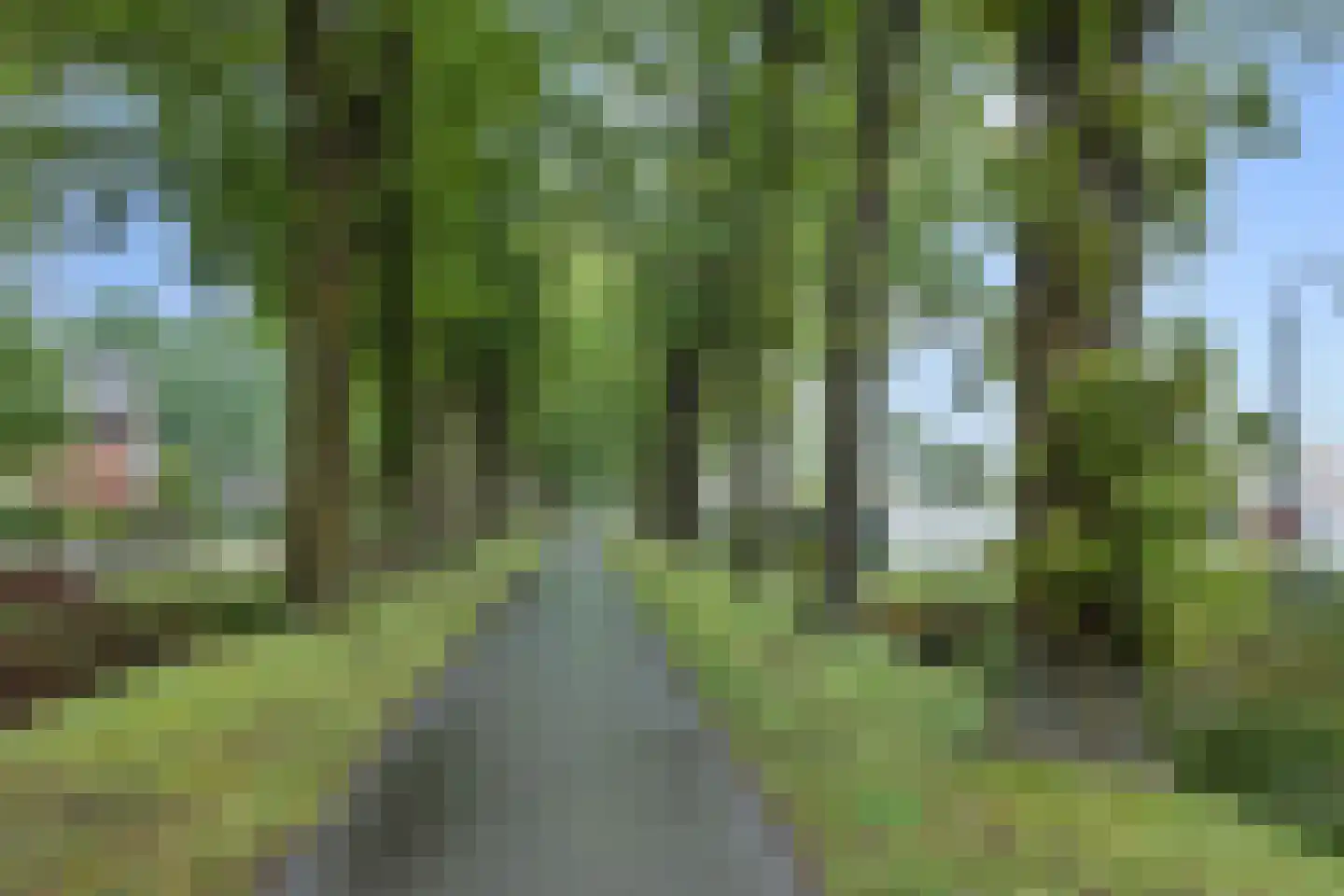 Willi Martinalistraat 48 Deurne thumbnail 44