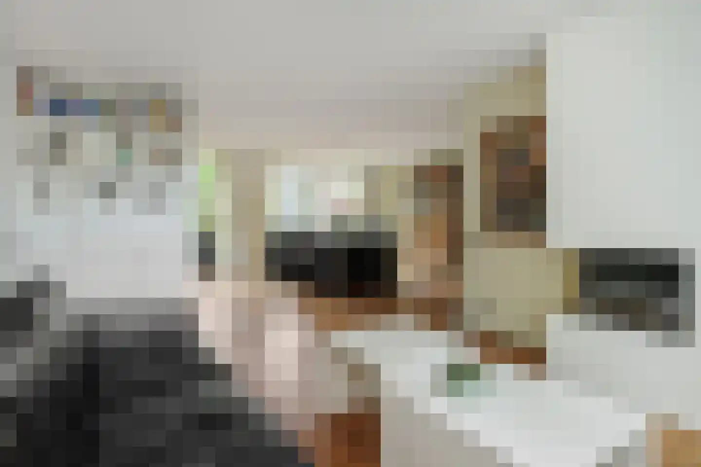 Willi Martinalistraat 48 Deurne thumbnail 6