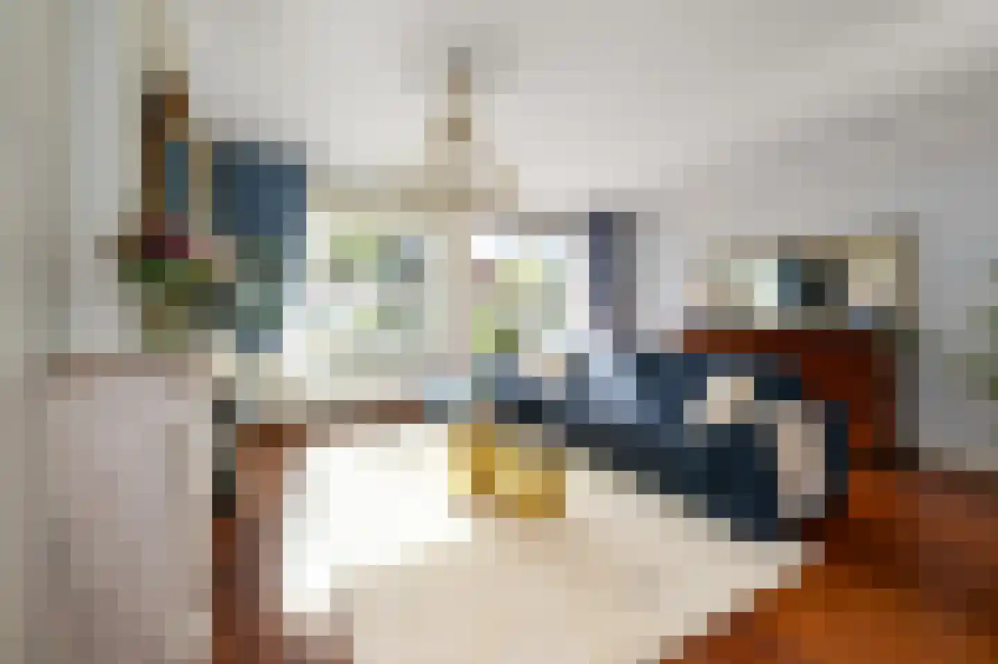 William Barlowlaan 42 Amsterdam thumbnail 7