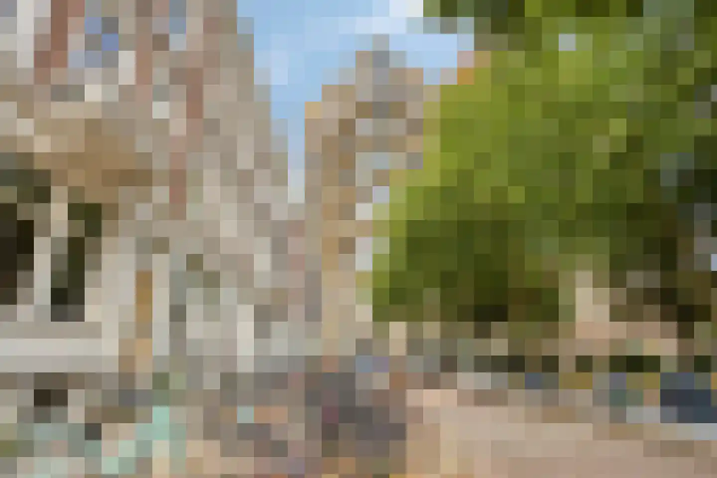 William Boothlaan 124 Rotterdam thumbnail 8