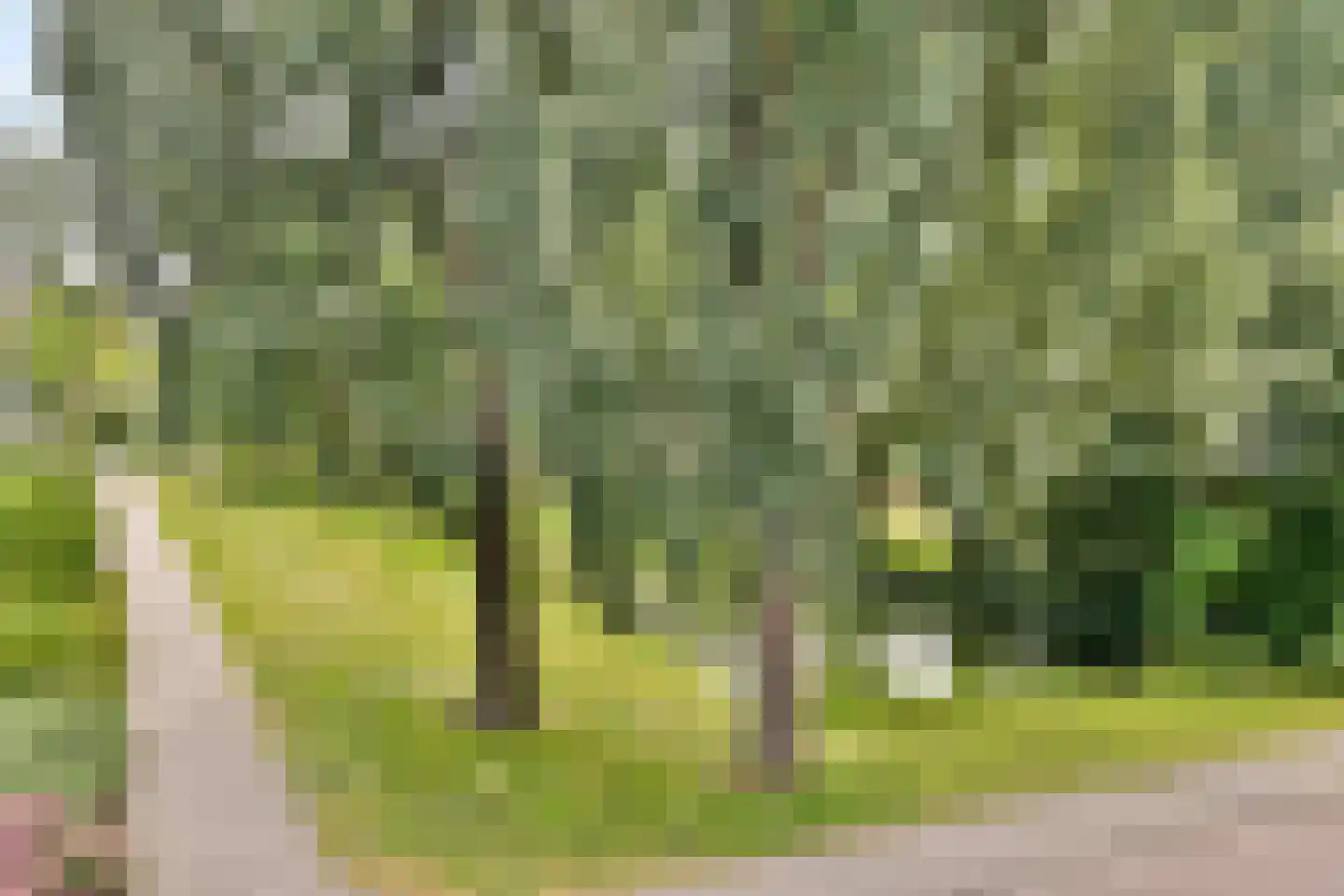 William Boothlaan 208 Amstelveen thumbnail 11