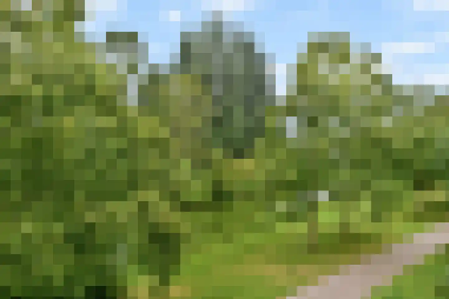 William Boothlaan 208 Amstelveen thumbnail 25