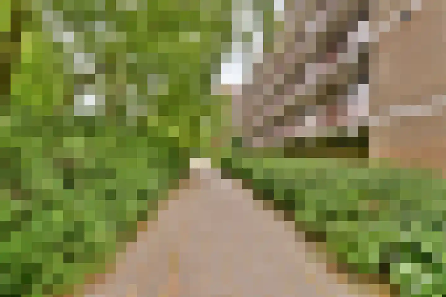 William Boothlaan 208 Amstelveen thumbnail 29