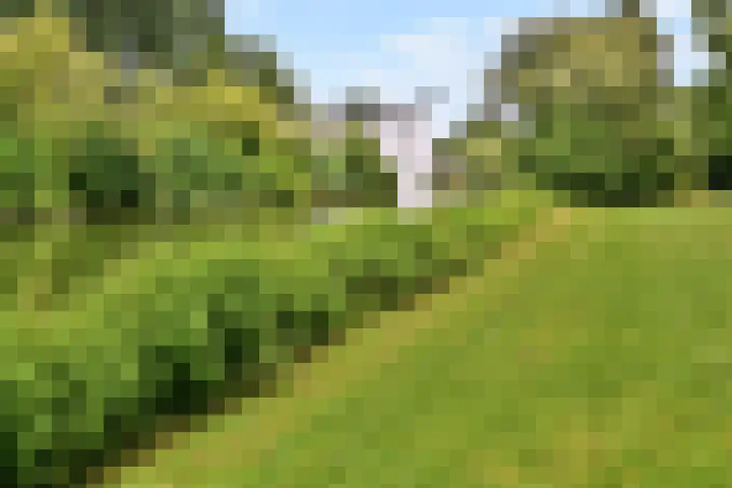 William Boothlaan 208 Amstelveen thumbnail 31