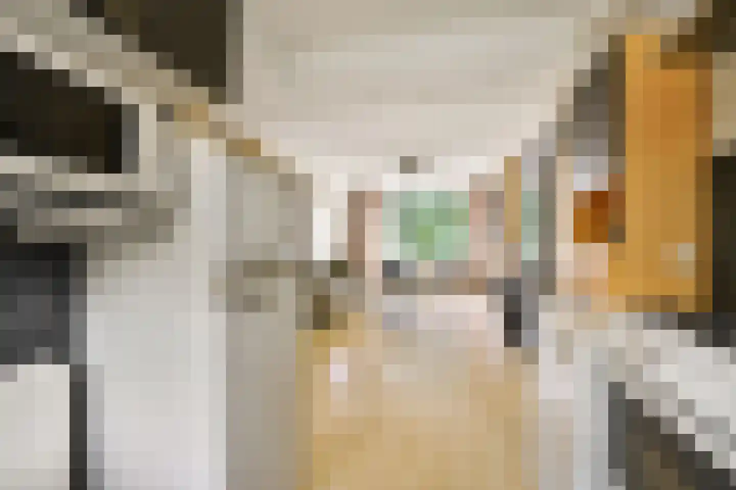 William Boothlaan 208 Amstelveen thumbnail 7