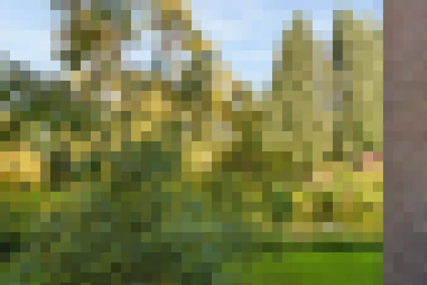 William Boothlaan 260 Amstelveen thumbnail 16