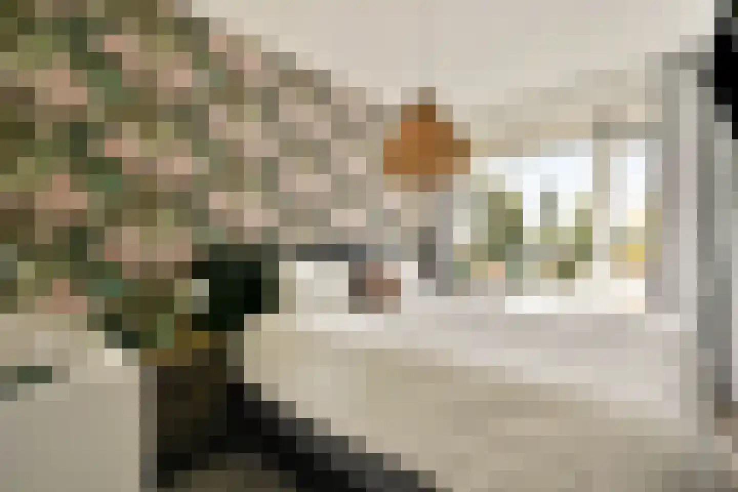 William Boothlaan 260 Amstelveen thumbnail 20