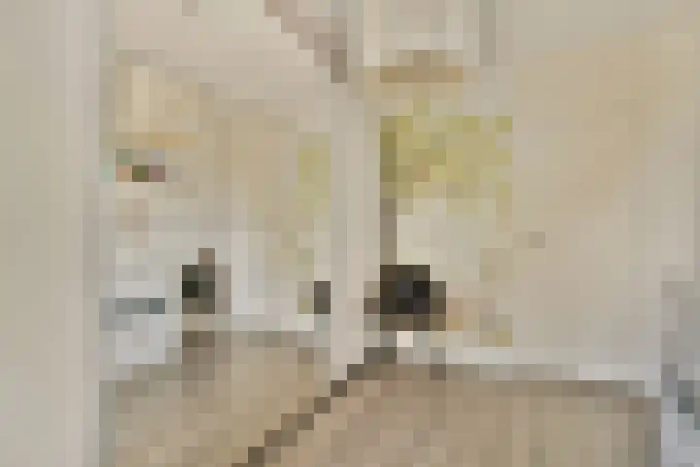 William Boothlaan 260 Amstelveen thumbnail 24