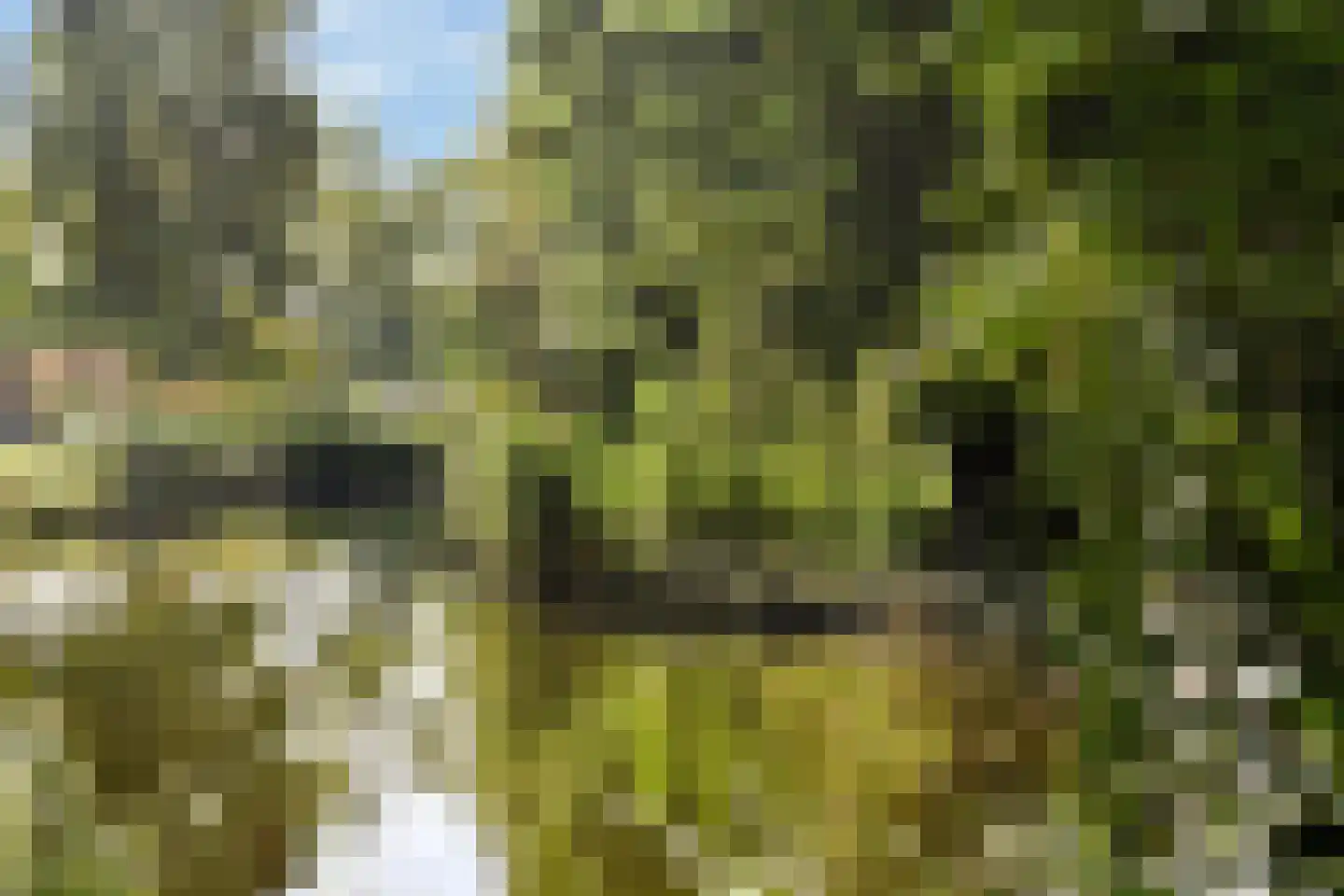 William Boothlaan 260 Amstelveen thumbnail 29