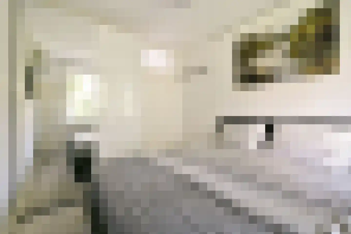 William Boothlaan 324 Amstelveen thumbnail 11