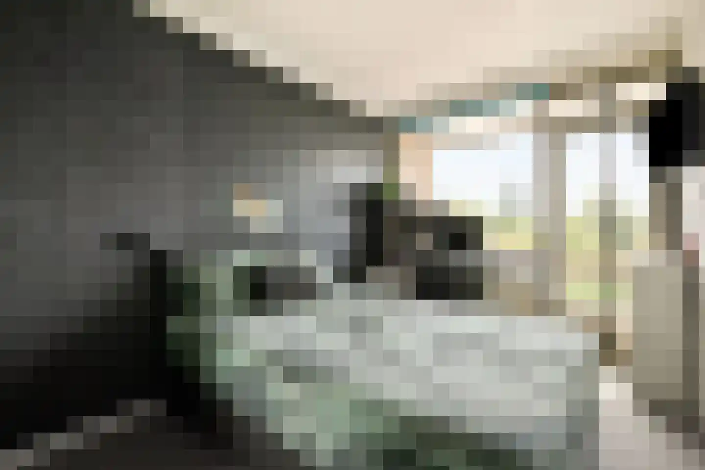 William Boothlaan 324 Amstelveen thumbnail 14