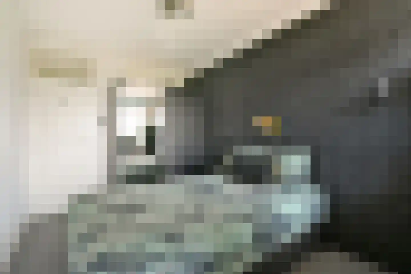 William Boothlaan 324 Amstelveen thumbnail 15