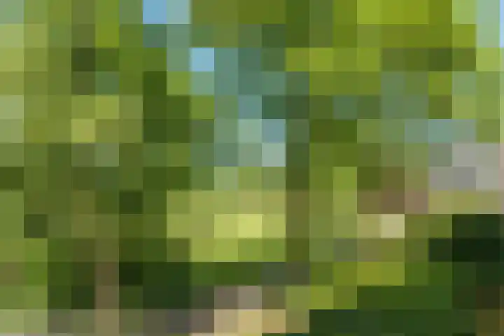 William Boothlaan 324 Amstelveen thumbnail 25