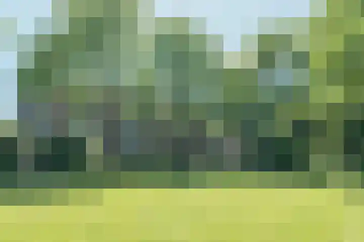 William Boothlaan 324 Amstelveen thumbnail 26