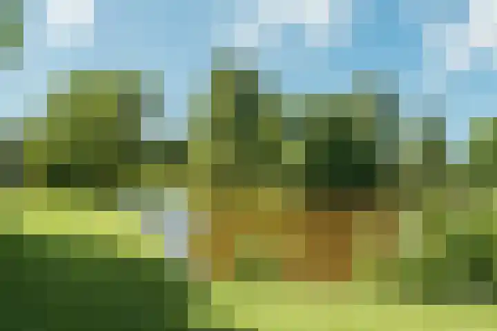 William Boothlaan 324 Amstelveen thumbnail 27