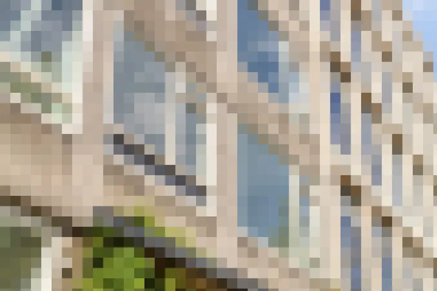 William Boothlaan 5 B Rotterdam thumbnail 7