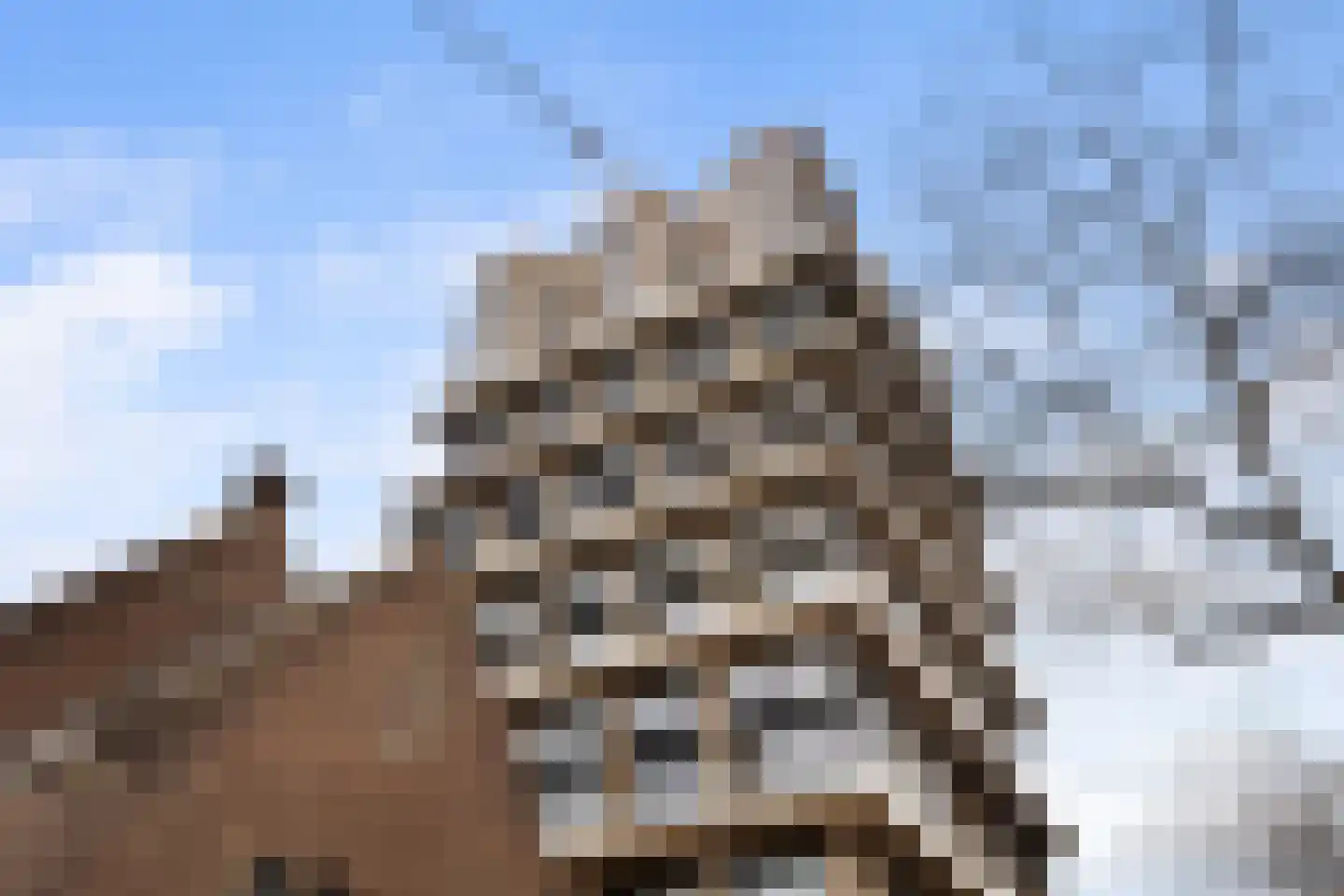 William Boothlaan 62 Rotterdam thumbnail 4