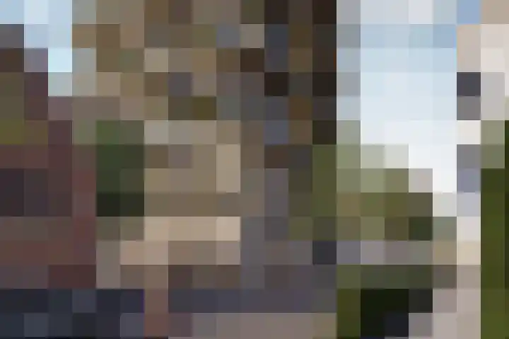 William Boothlaan 96 Rotterdam thumbnail 4