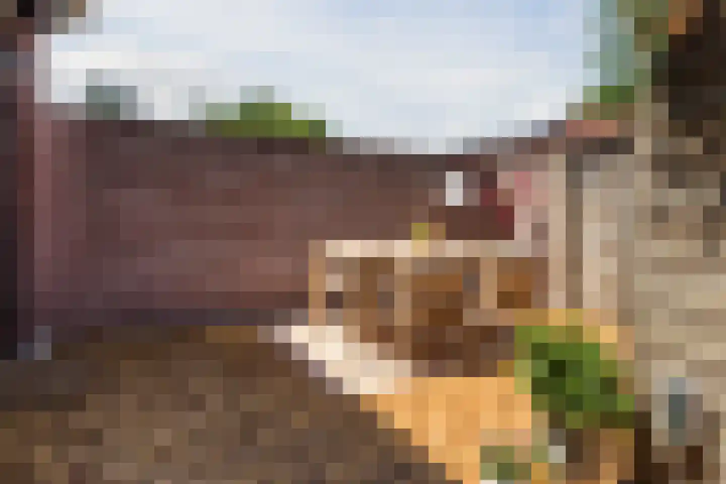 William Boothstraat 18 Breda thumbnail 5