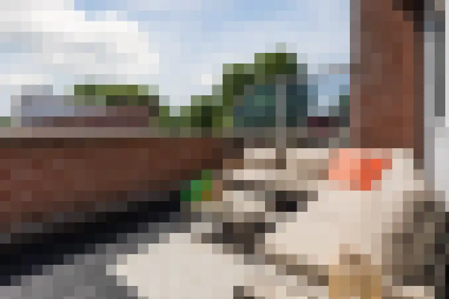 William Boothstraat 18 Breda thumbnail 50