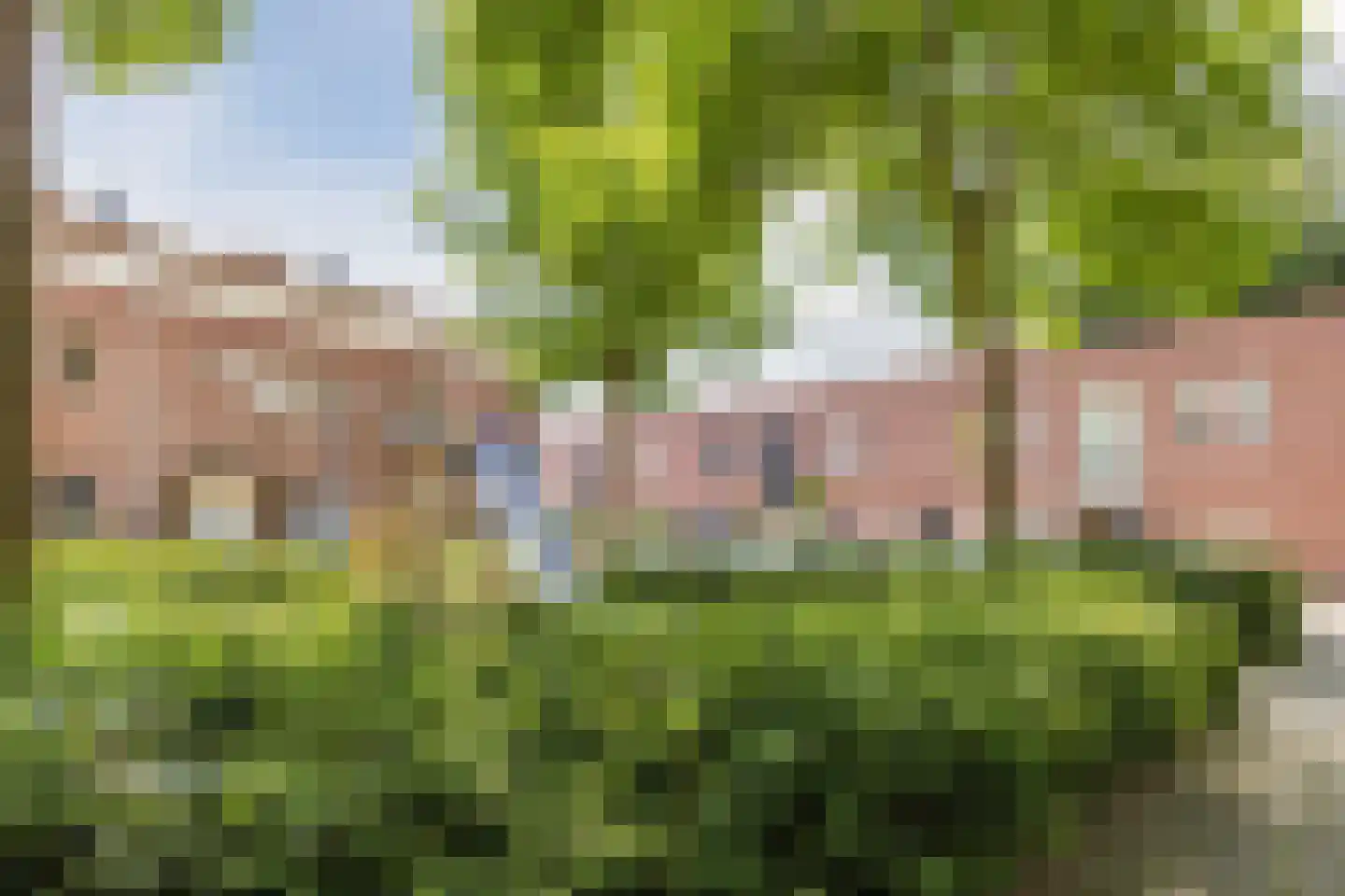 William Boothstraat 18 Breda thumbnail 57