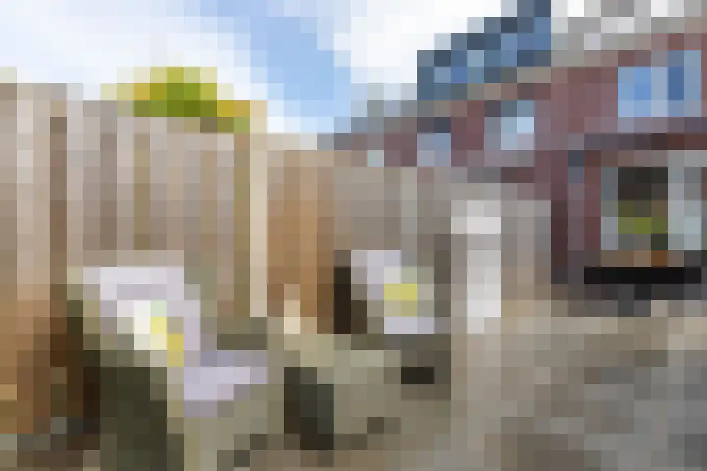 William Bragghof 8 Almere thumbnail 34