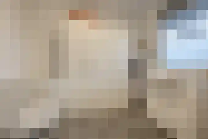 William Harveystraat 28 Haarlem thumbnail 17