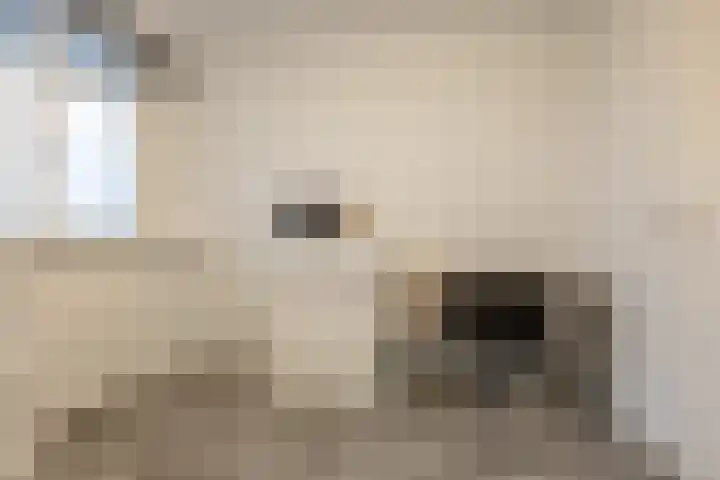William Harveystraat 28 Haarlem thumbnail 18