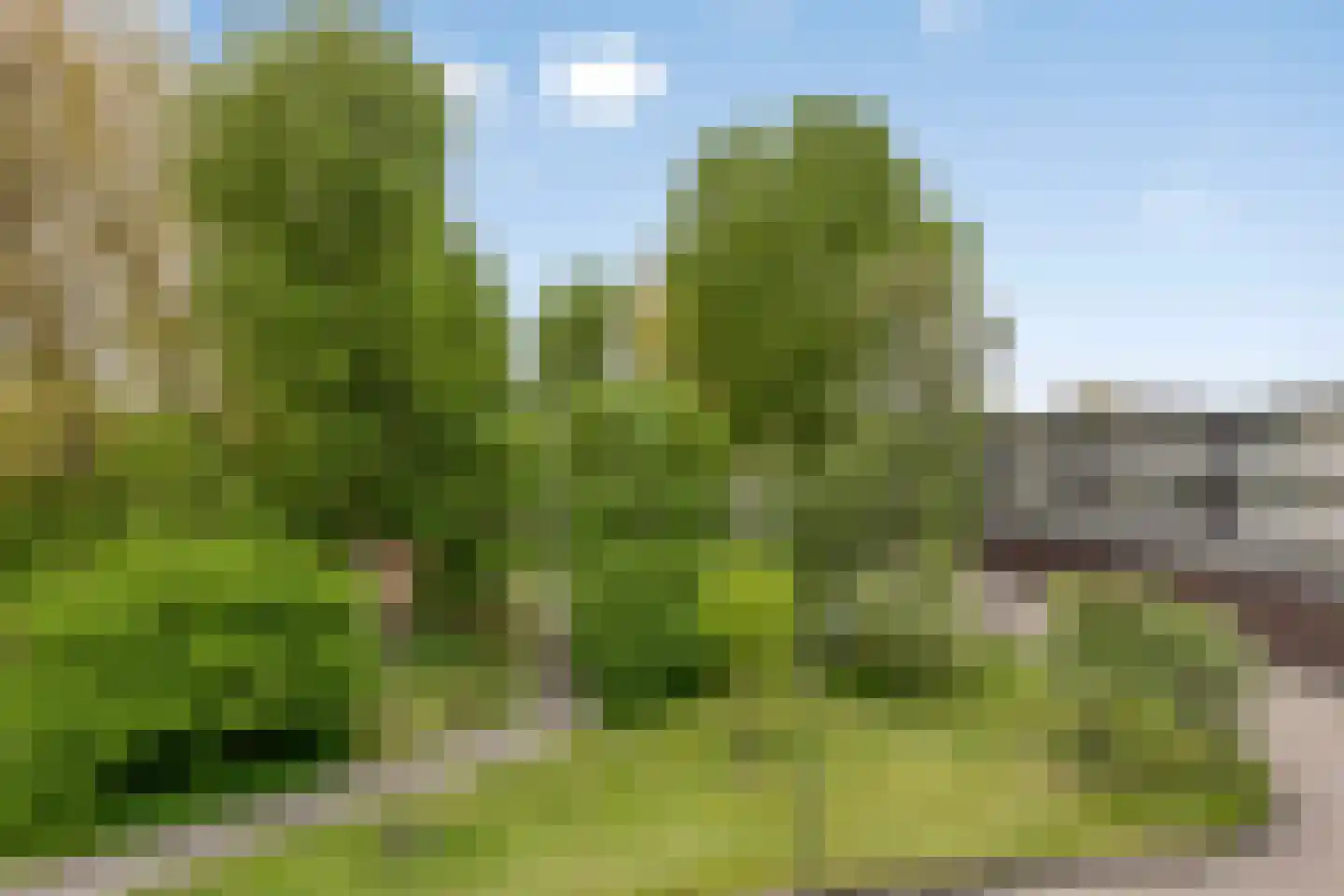 William Harveystraat 28 Haarlem thumbnail 21