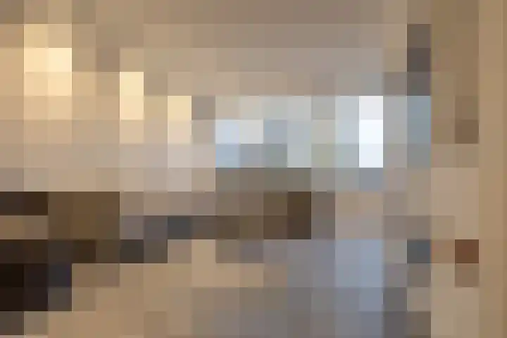 William Harveystraat 28 Haarlem thumbnail 4
