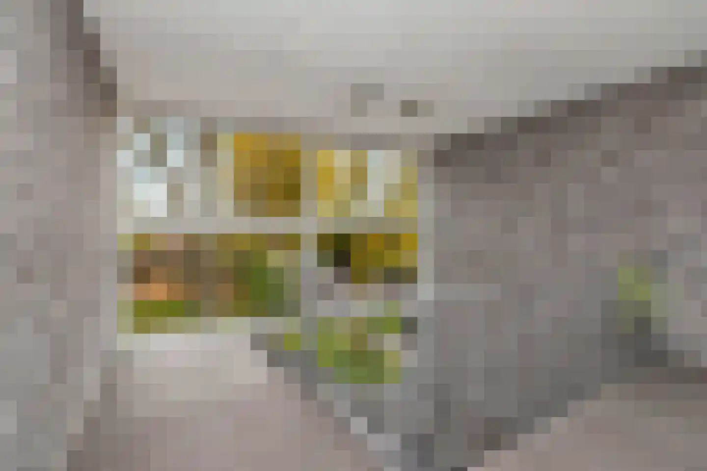 William Harveystraat 48 Haarlem thumbnail 6