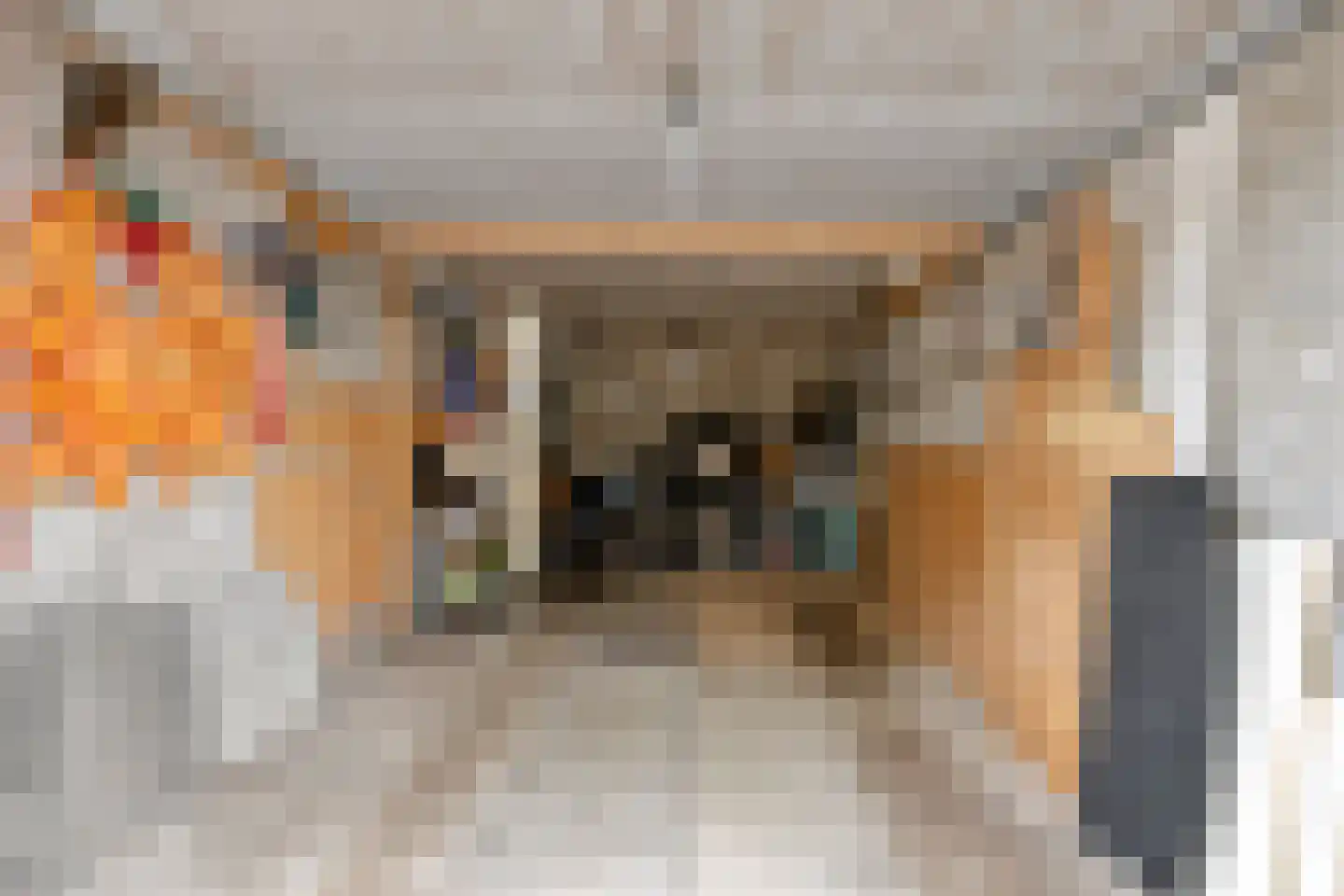 Williamstraat 21 Bergen op Zoom thumbnail 35