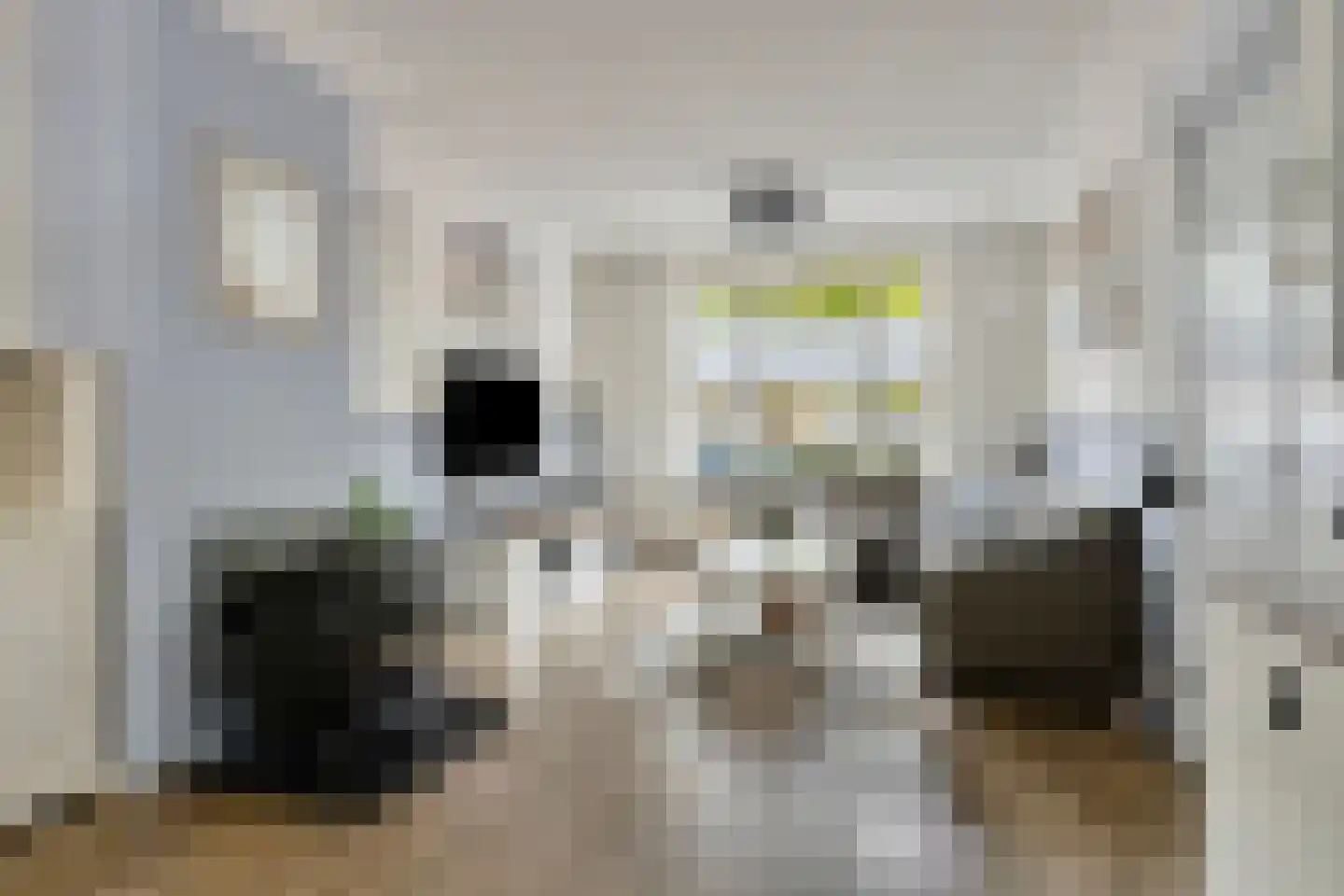 Williamstraat 21 Bergen op Zoom thumbnail 8