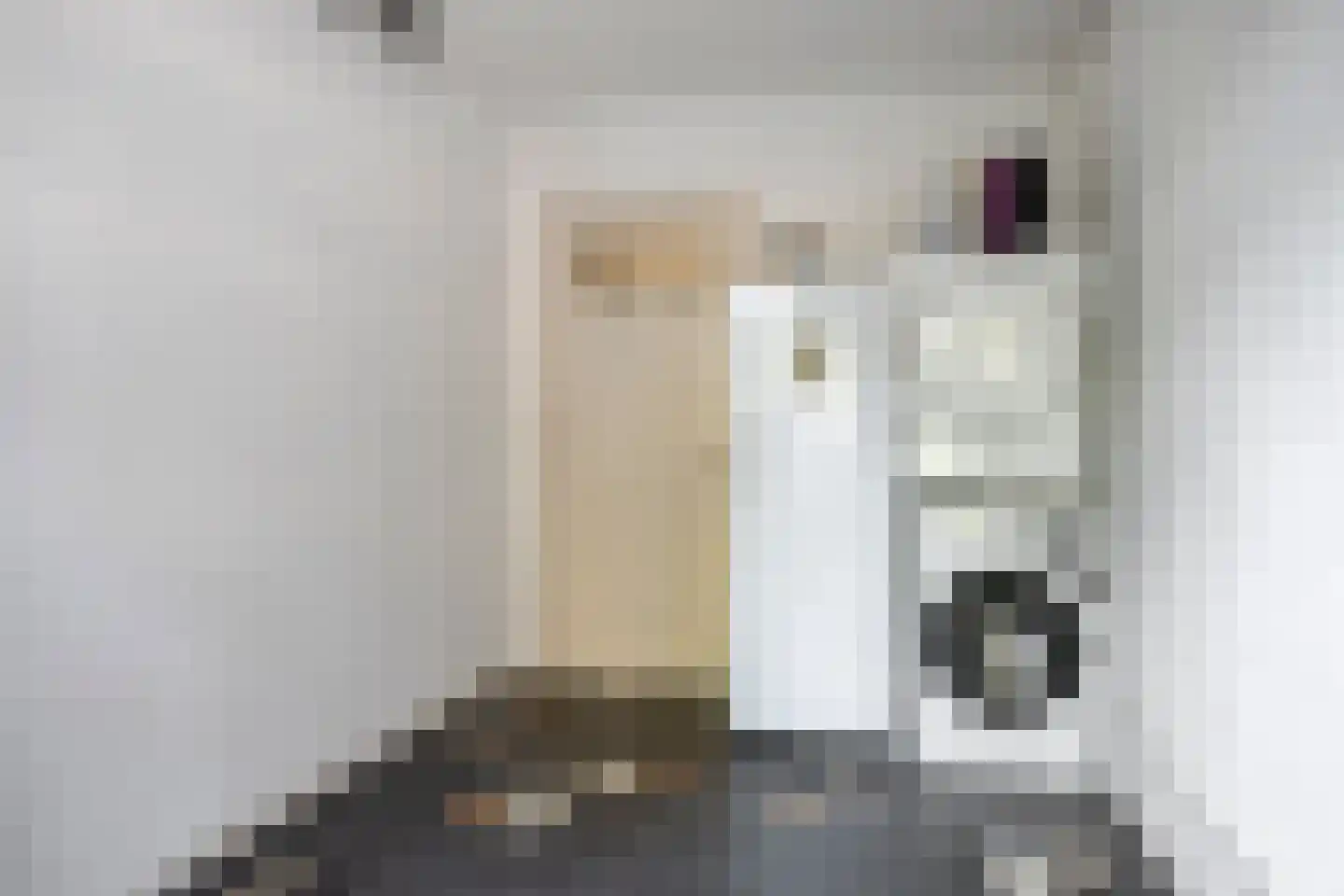 Williamstraat 23 Bergen op Zoom thumbnail 34