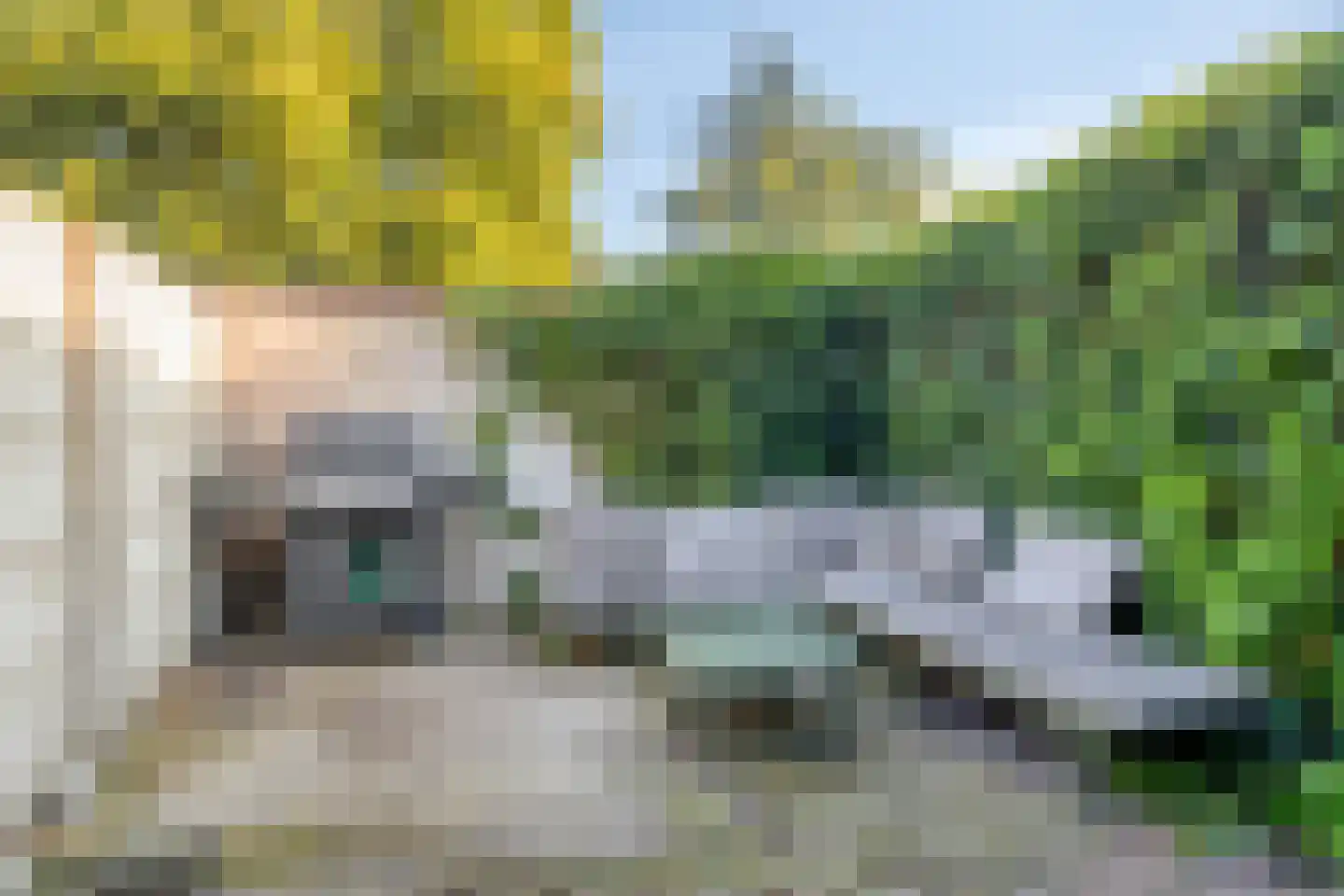Williamstraat 23 Bergen op Zoom thumbnail 35