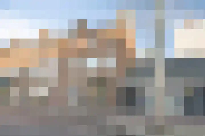 Williamstraat 31 Bergen op Zoom thumbnail 37