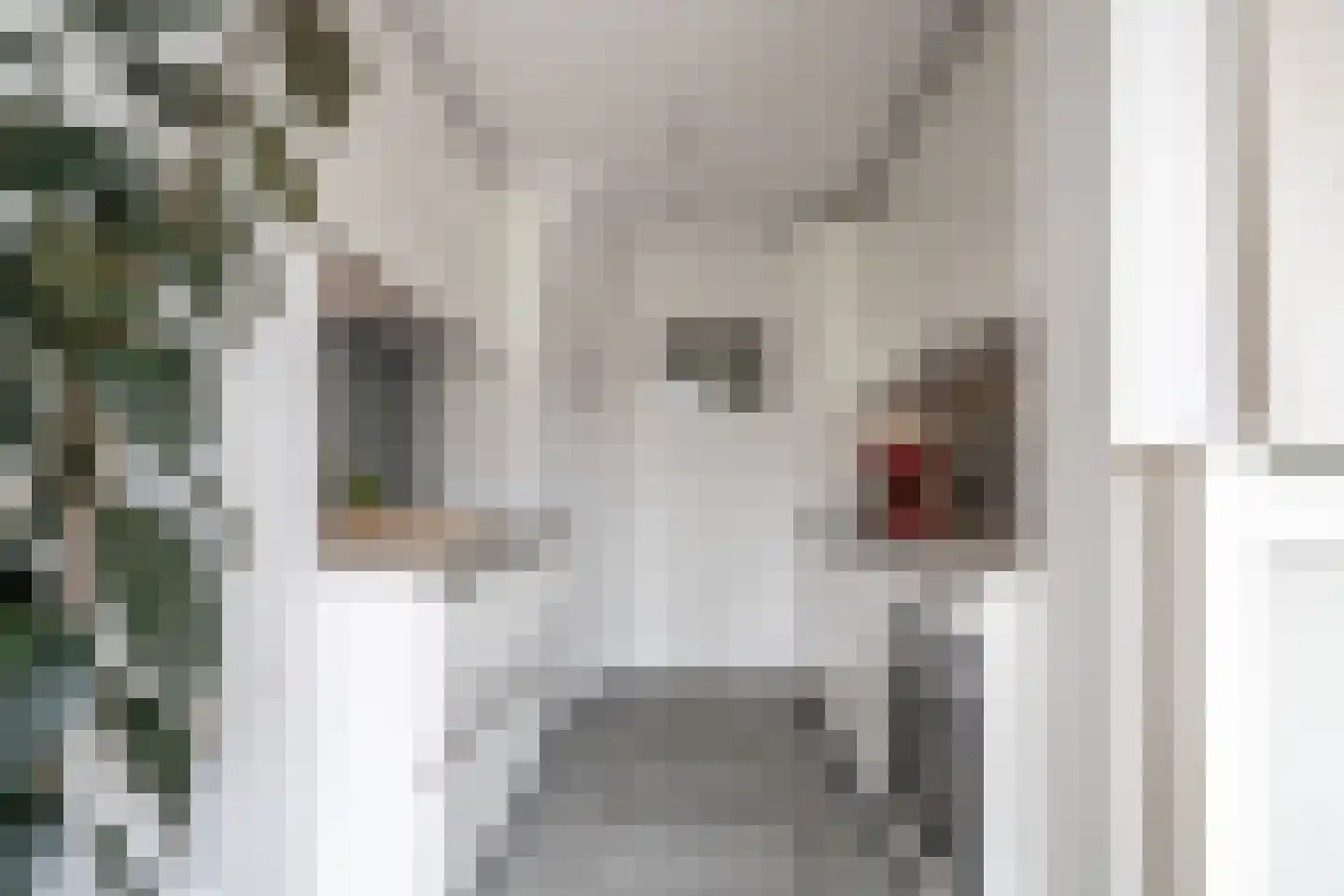 Willibrordlaan 12 Oegstgeest thumbnail 20