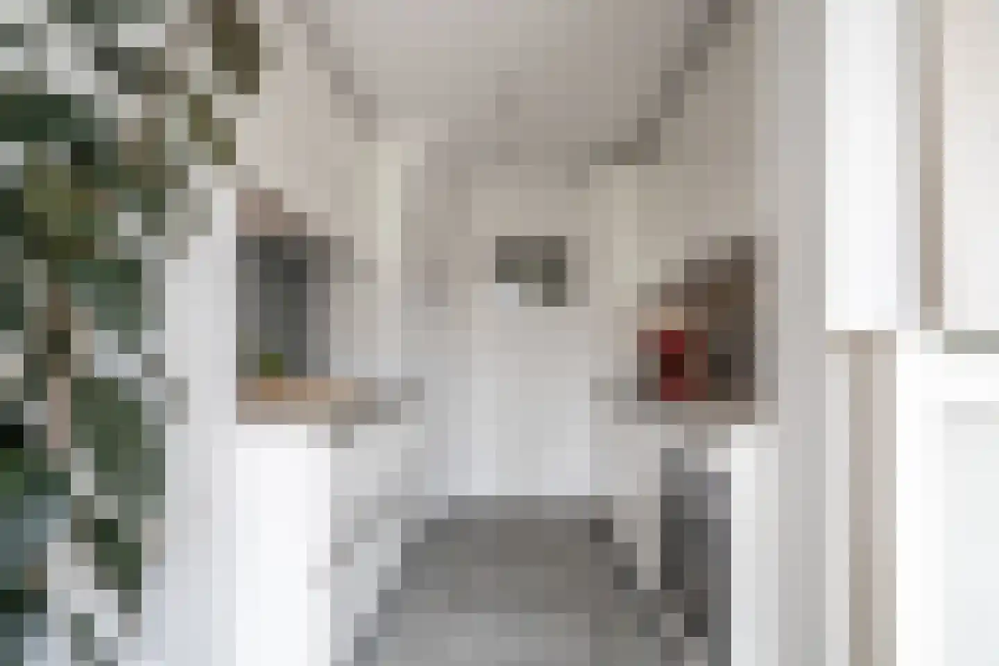 Willibrordlaan 12 Oegstgeest thumbnail 20
