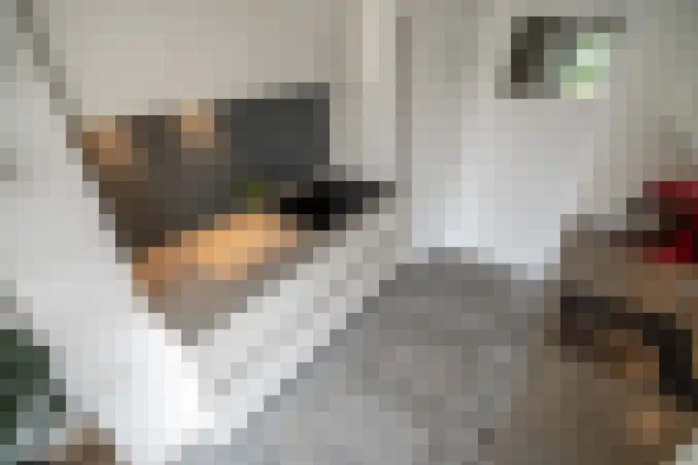 Willibrordlaan 12 Oegstgeest thumbnail 21