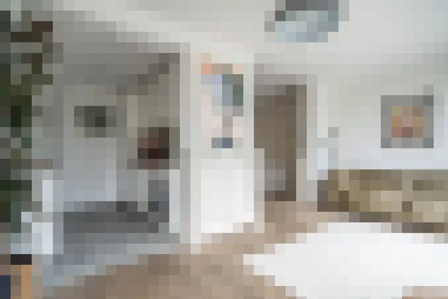 Willibrordlaan 12 Oegstgeest thumbnail 26