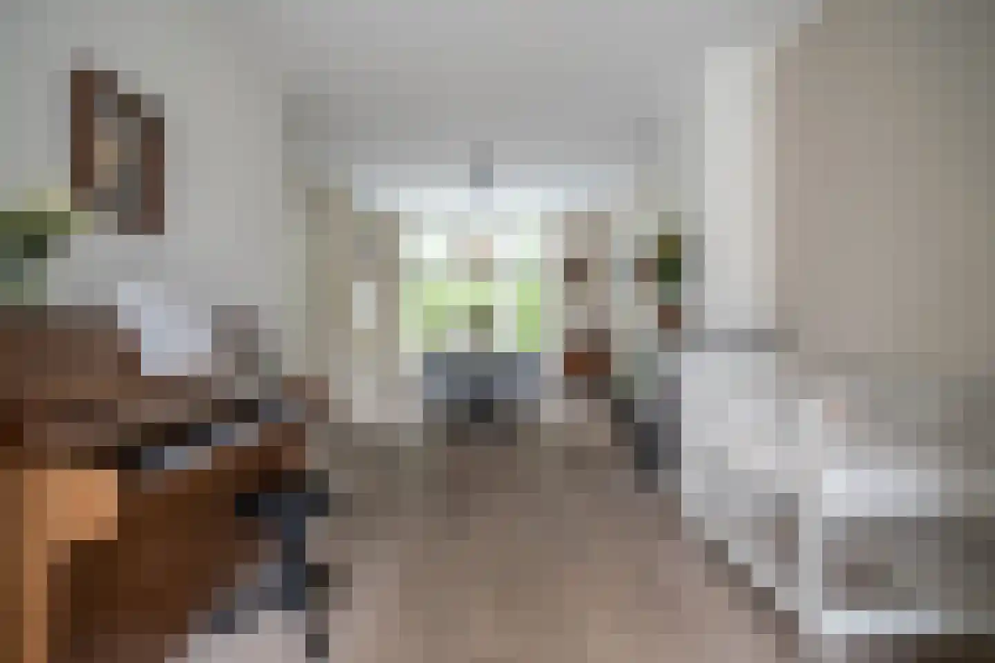 Willibrordlaan 12 Oegstgeest thumbnail 28