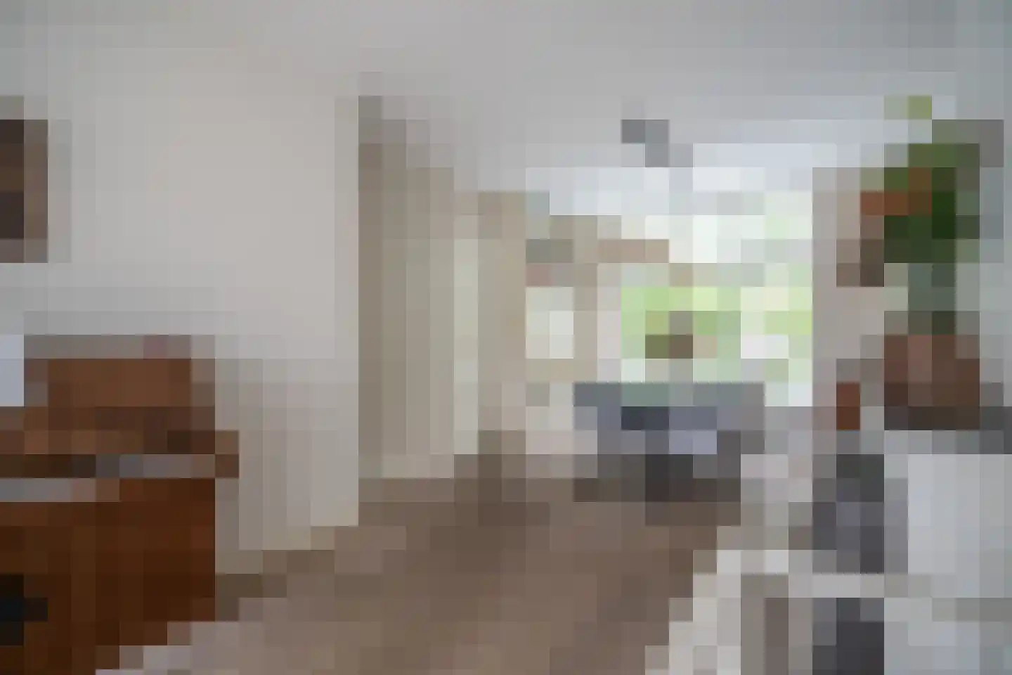Willibrordlaan 12 Oegstgeest thumbnail 29