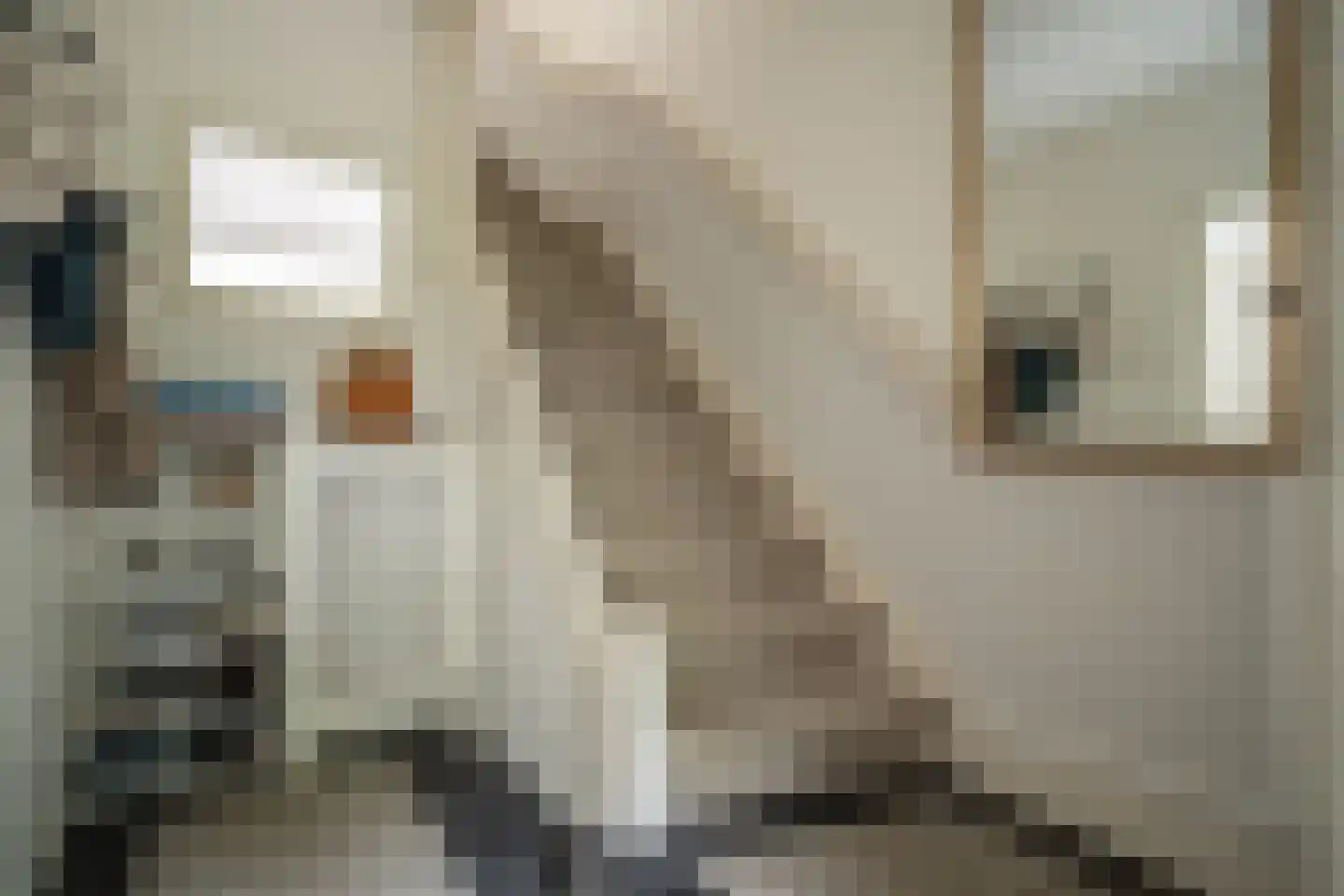 Willibrordlaan 12 Oegstgeest thumbnail 34