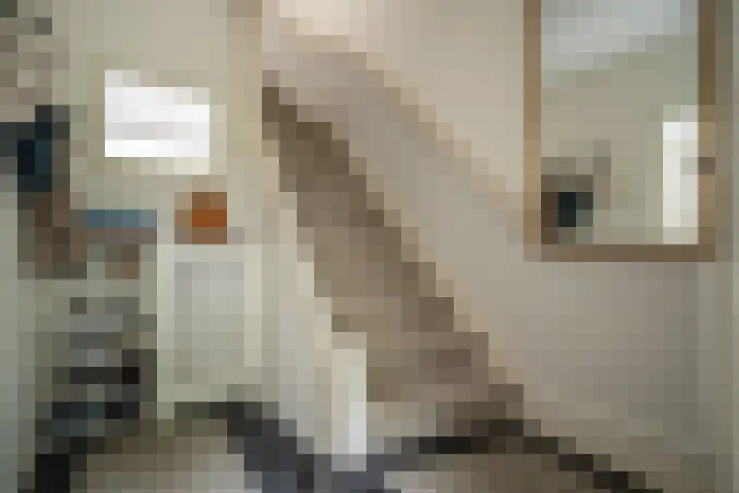 Willibrordlaan 12 Oegstgeest thumbnail 34